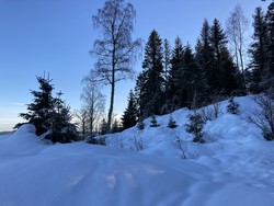 Lønnehaugen