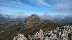 Lagarin
