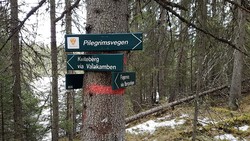 Fodnesåsen t kryss
