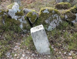 Bystein 34