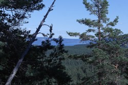 Urdhogget trigpunkt