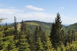 Liskollen