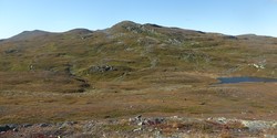 St.Olavskampen