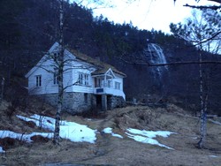 Træet gård