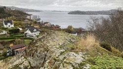 Godvikaskjenet