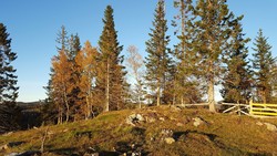 Lerstadhaugen