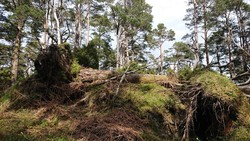 Hovåsen