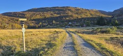 Øyaset