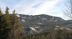 Jukamsknatten