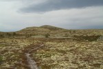 Svartfjellet