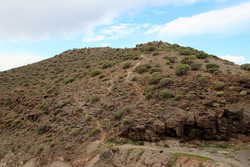 Cueva del Canario