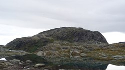 Kvannanuten