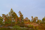 Mutdalsheia