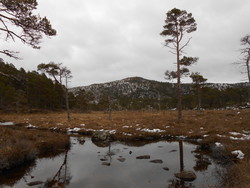 Hokkeltinden
