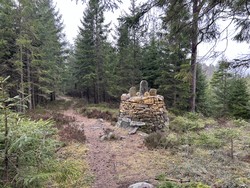 Riksrøys K