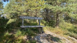 Hamresåta
