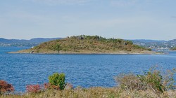 Malmøykalven