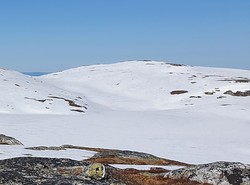 Blenuten Ø2