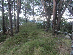 Såta Korsneset