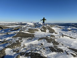 Grønlidalsheia