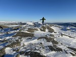 Grønlidalsheia