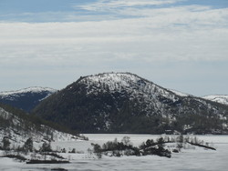Lauvåsnuten