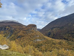Fuglåsen