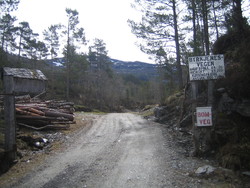 Byrkjenesvegen