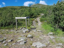 Hugakøllen stidele