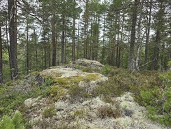 Smietjernskollen