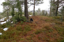 Steingardåsen