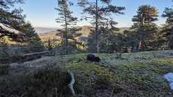 Kjerrilåsen