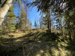 Nes Bygdeborg