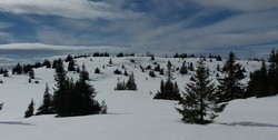 Rypefjellet