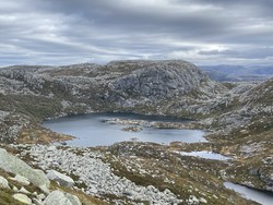 Holmaknuten