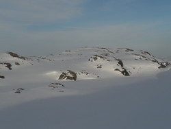 Skarsheia