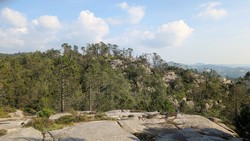 Sandviksnuten