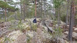 Veståsen