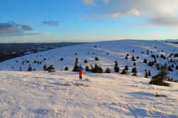 Raudhaugen