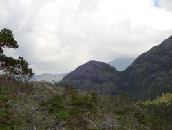 Åsen i Samdalen
