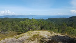 Revberget utsikten