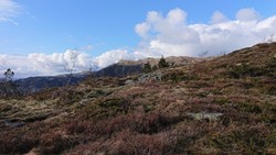 Bryterhytten (tuft)