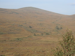 Mosvarden