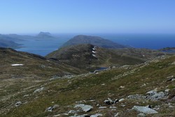 Høgeheia