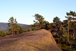 Åsnesheia