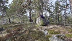 Tjuvhellerknatten