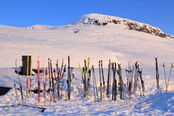 Fitjanuten