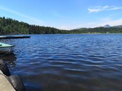 Bamsetjern