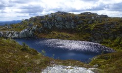 Grunntjørnnuten