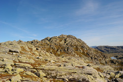 Skuldrenuten